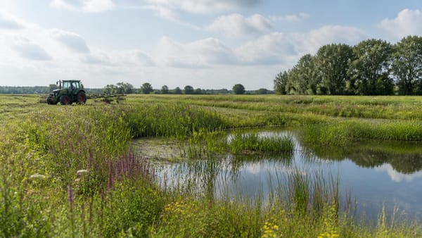 Natur-Wiederherstellung durch Landwirte: Was Experten empfehlen