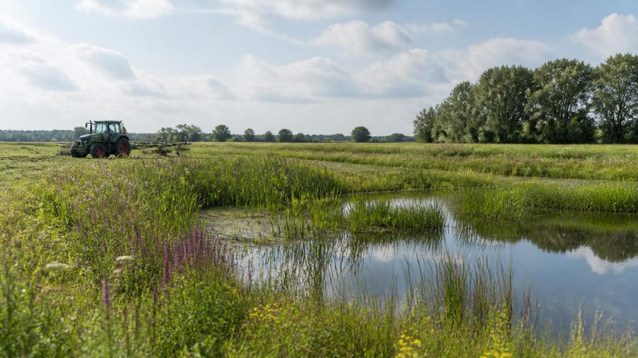 Natur-Wiederherstellung durch Landwirte: Was Experten empfehlen
