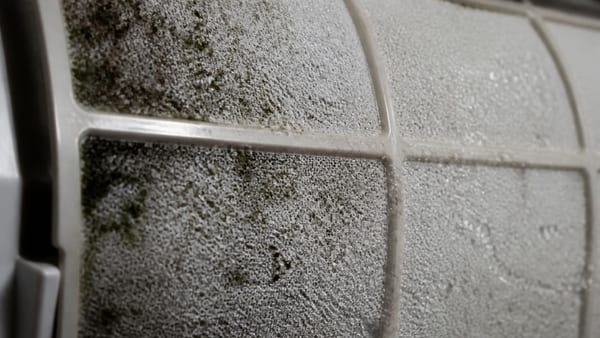 Schweiß und Schimmel: Was Sie vorm Kauf eines Verdunstungskühlers wissen sollten