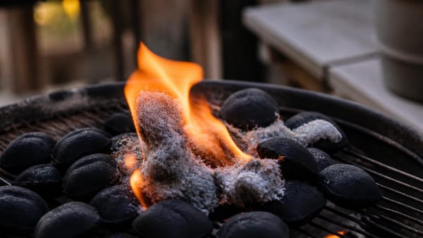 Trocknerflusen nicht wegwerfen: Beim Grillen können sie überraschend nützlich sein