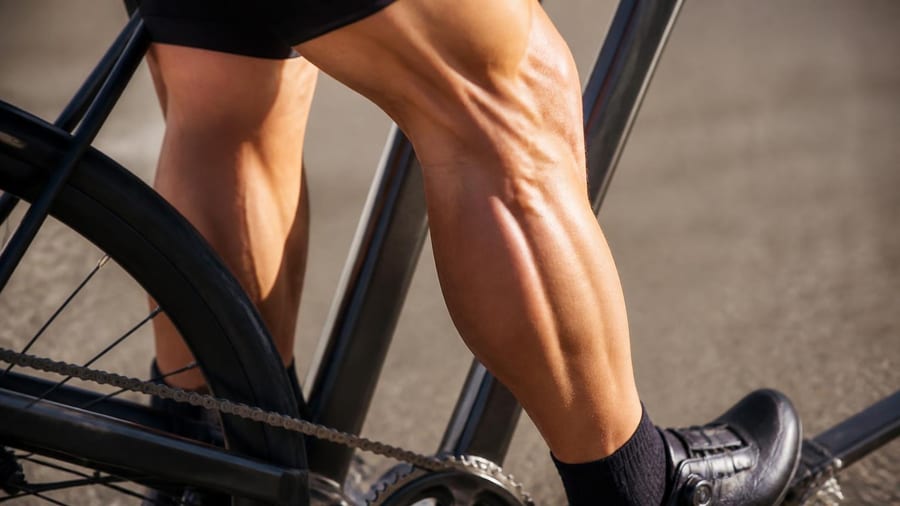 Warum Radfahren mehr als nur Beintraining ist: Muskulatur im Fokus