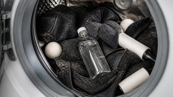 Wie du mit Hausmitteln Hundehaare aus der Waschmaschine entfernst