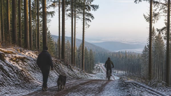 Winterberg zieht klare Grenzen: Diese strenge Waldregeln sind für alle verpflichtend