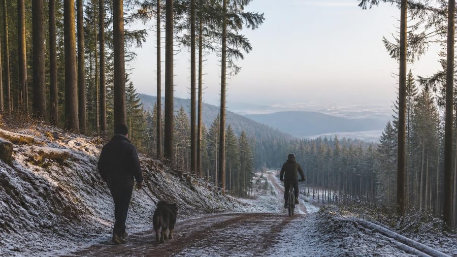 Winterberg zieht klare Grenzen: Diese strenge Waldregeln sind für alle verpflichtend